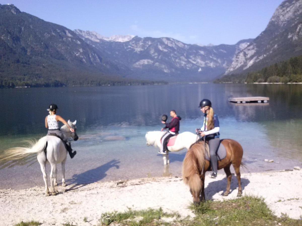 Tubej Mountain Room With Terase Bohinjska Bistrica Exterior foto
